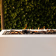 Trimline Fires Outdoor 125 - afbeelding 2